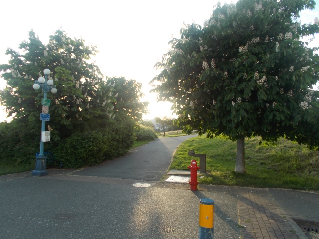 Westsong Walkway Lime Bay Park