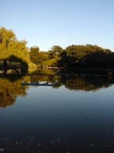 Holland Point Park pond reflection